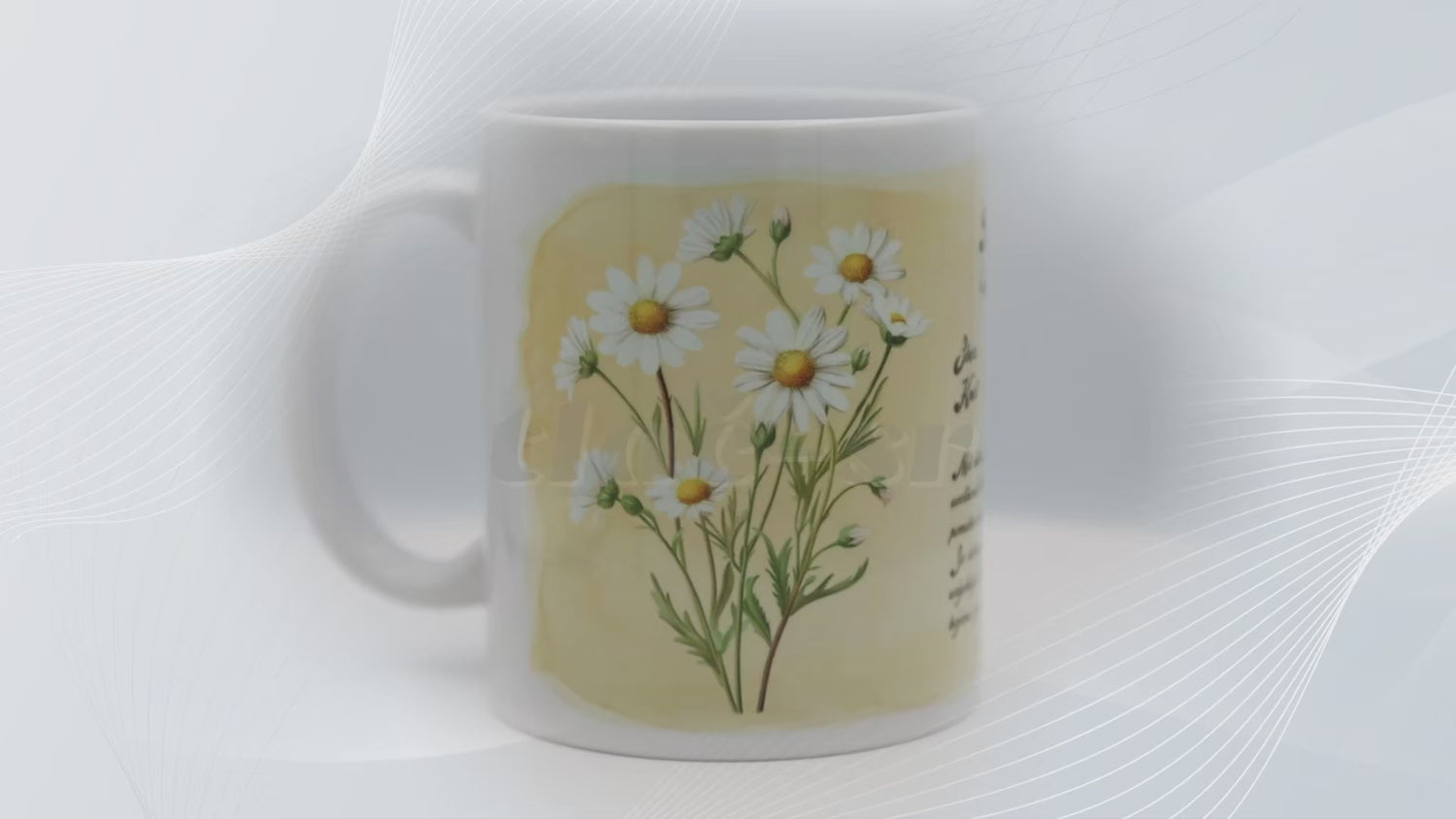 Rumanček kamilkový