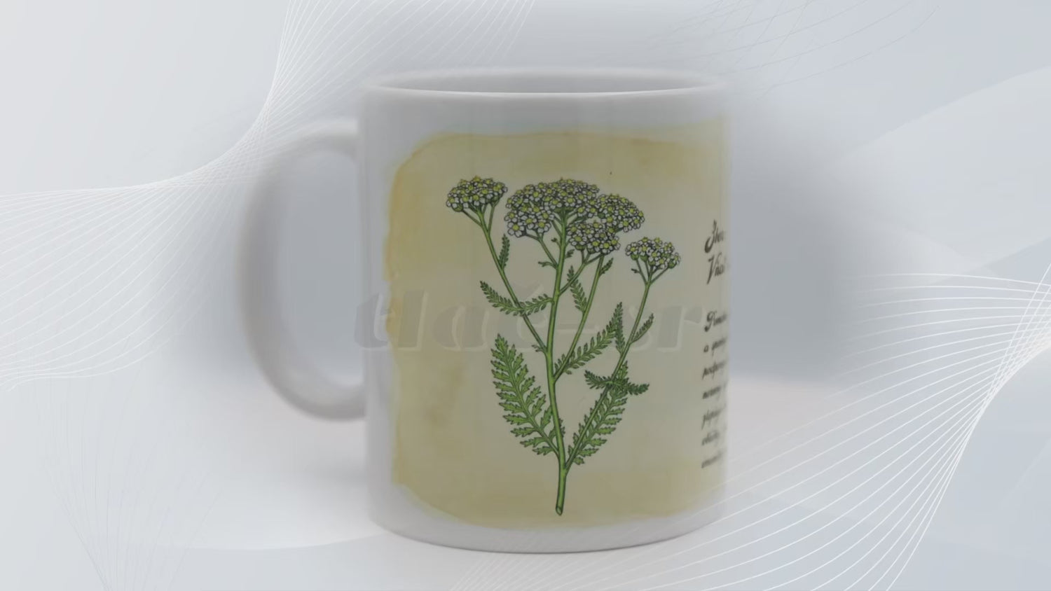 Rebríček obyčajný