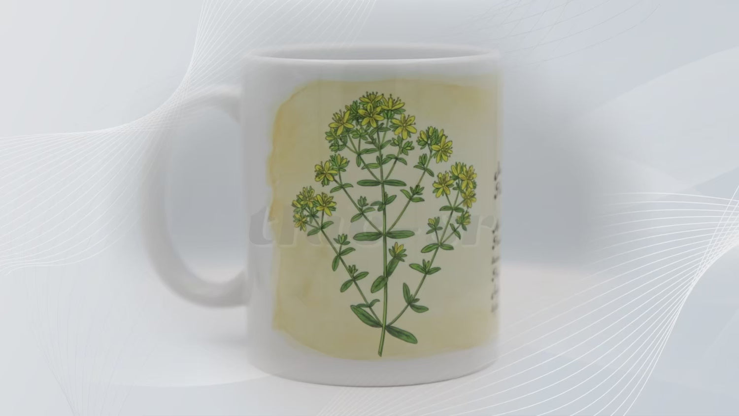 Ľubovník bodkovaný